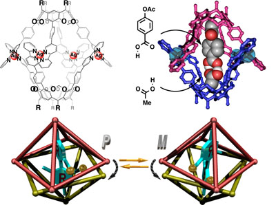 Host–Guest Complexation of Bisporphyrin Cleft and Electron-Deficient  Aromatic Guests